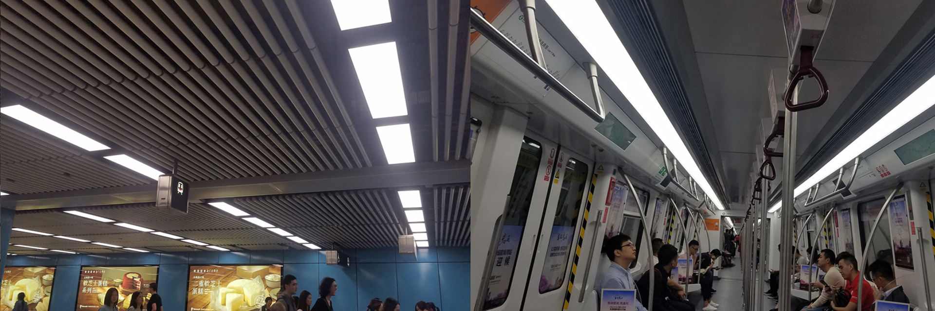 qualidade Flexível de néon do diodo emissor de luz IP68 fábrica