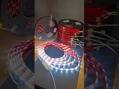 Lâmpadas à prova d'água de 24V LED Lente de Lâmpadas SMD2835 Lâmpadas a Lâmpadas Transparentes